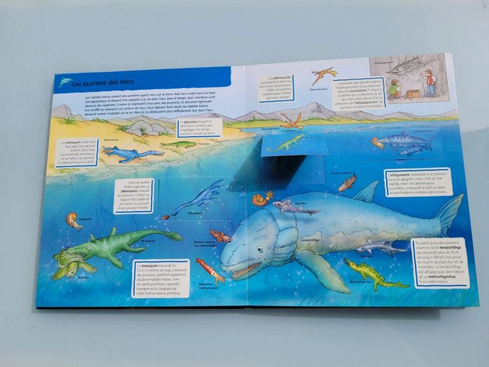 Livres animé à volets Les dinosaures, Les P'tits savants (24) - photo numéro 5