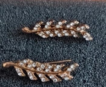 Boucles d'oreilles grimpantes épis