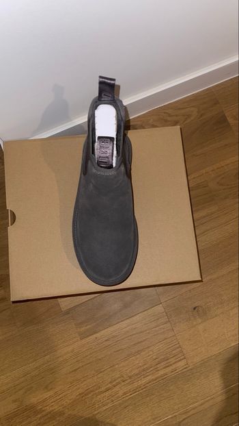 Ugg grise