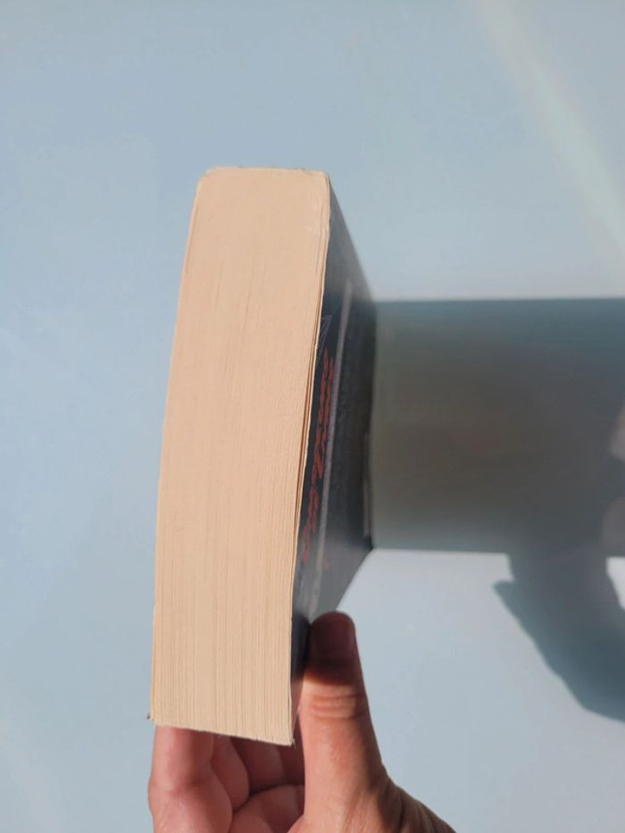 Roman Chasseurs de Livres, éditions R Jeunesse (48) - photo numéro 4