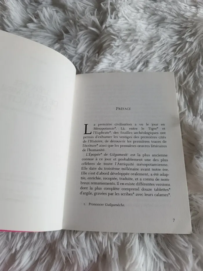 Livre L'épopée de Gilgamesh en 8 récits _ dès 11 ans _ Flammarion Jeunesse _ Jean Muzi - photo numéro 4