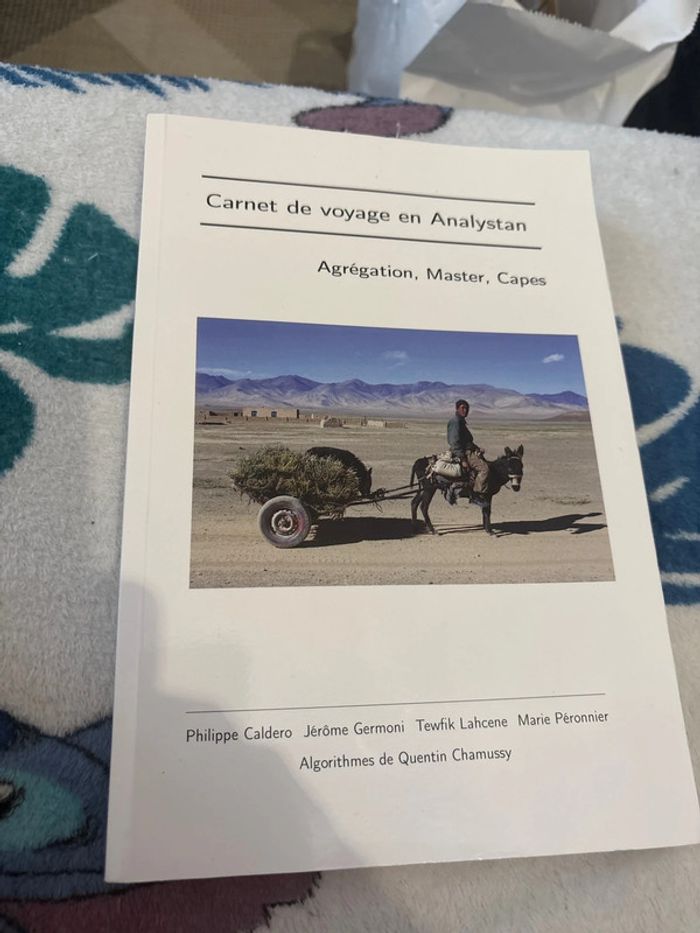 Carnet de voyage en analystan