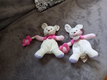 Lot de 2 Doudous chiens  avec fleur Baby Nat