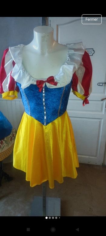 Très beau déguisement femme f70