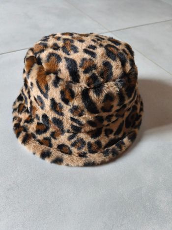 Bob léopard 