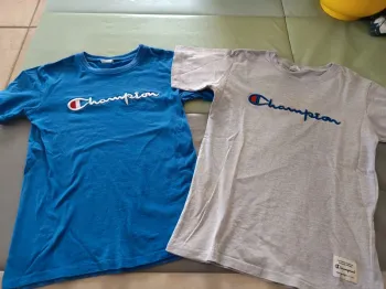 Lot de deux tee shirts champion S