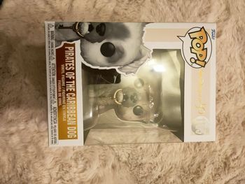 Pop pirates des Caraïbes chien