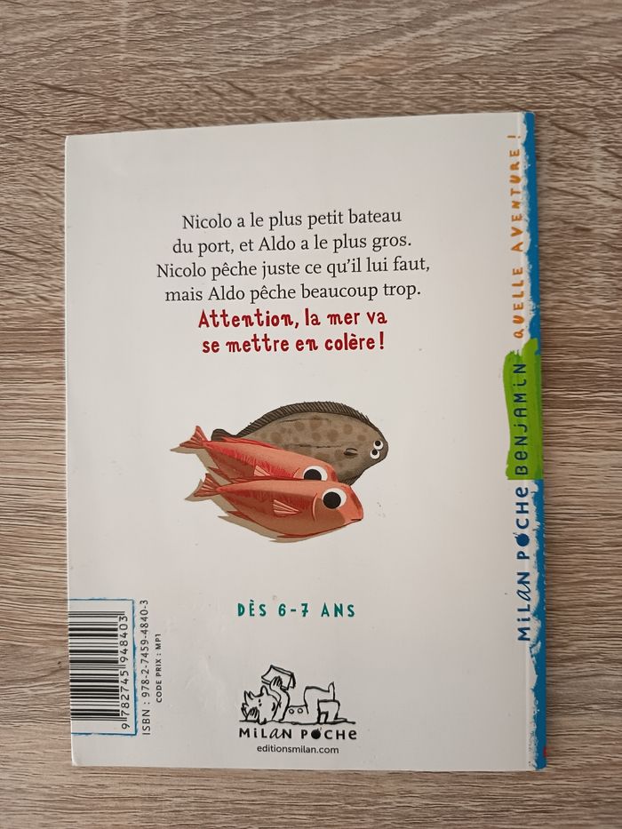 Livre roman enfant CP-CE1, La pêche au trésor, Milan Benjamin - photo numéro 3