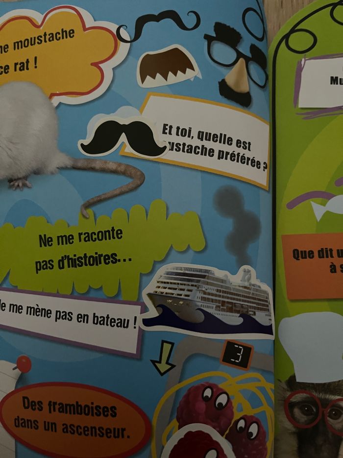 Mon livre de blague autocollant - photo numéro 4