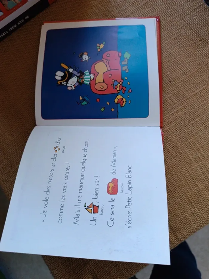 Petit lapin blanc - photo numéro 4