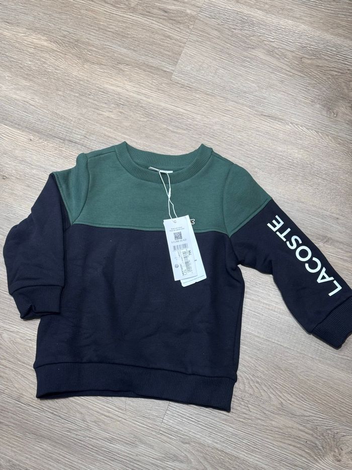 Sweat Lacoste Couleur pour Garçon Fille - photo numéro 2