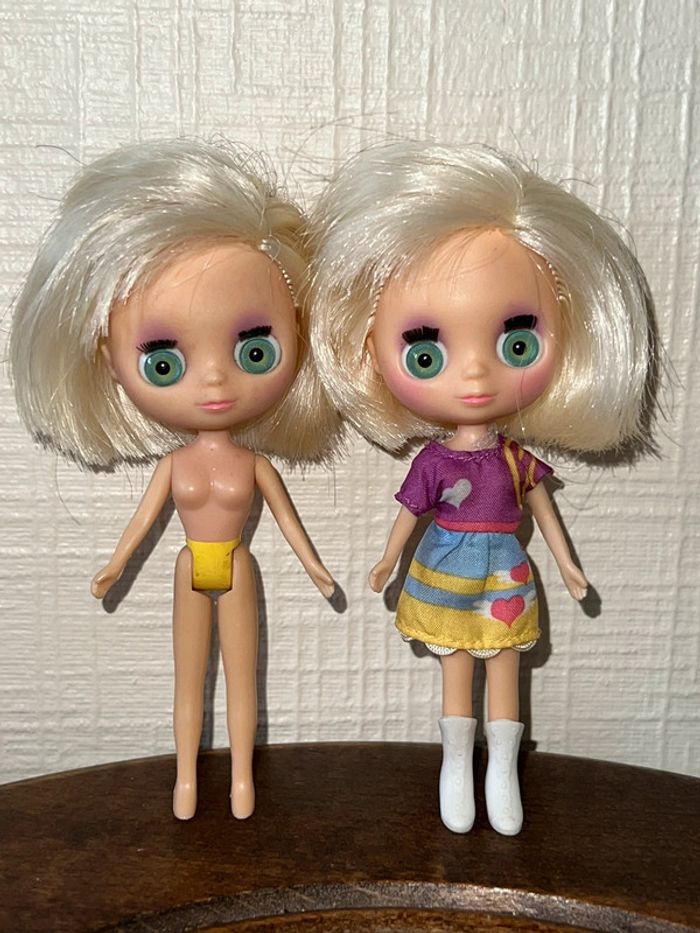 Poupée blythe Littlest petshop Hasbro 2010