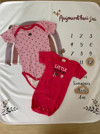 Lot de 2 bodies été bébé fille – Absorba – Taille 12 mois / 74 cm👶💖