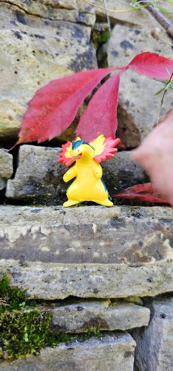 Super figurine Pokemon Nintendo typhlosion