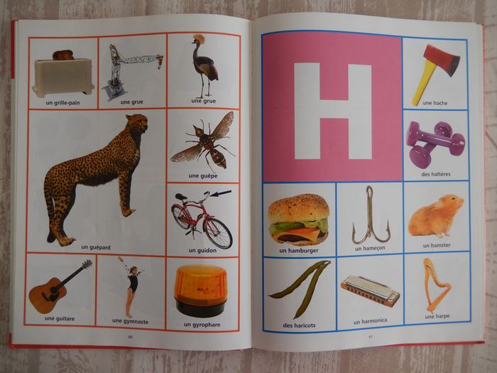 Mon premier Dictionnaire visuel - photo numéro 6