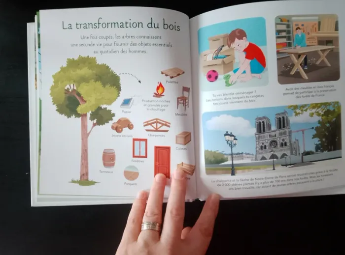 Livre enfant - La petite imagerie - Les travaux de la forêt - photo numéro 6