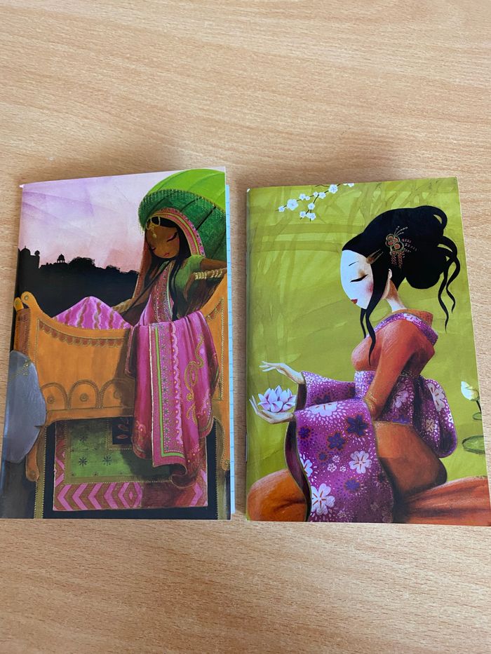 Lot de 2 carnets fantaisie