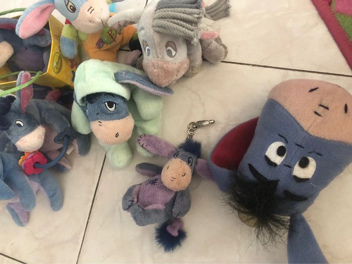 Lo petit borriquet - photo numéro 4