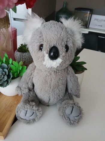 Péluche Koala