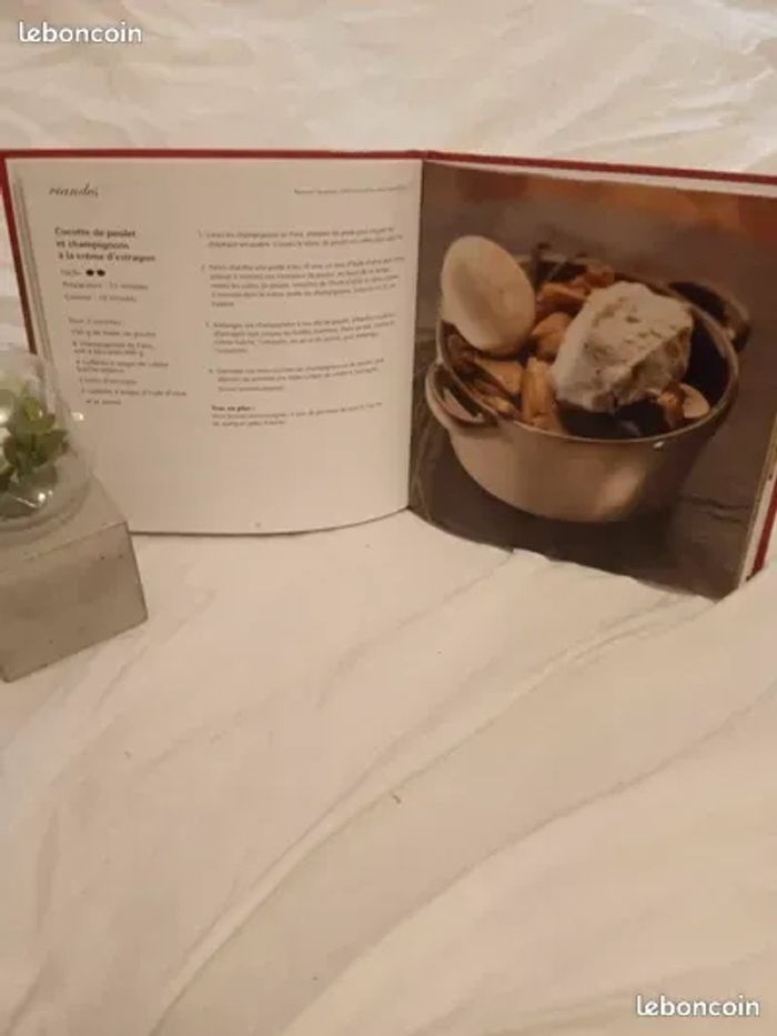 Livre de recettes Les cocottes - photo numéro 6