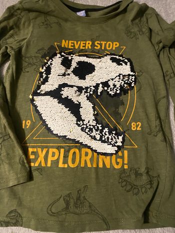 Pull fin dinosaure en relief