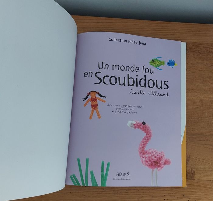 Un monde en Scoubidous - Fleurus - photo numéro 2