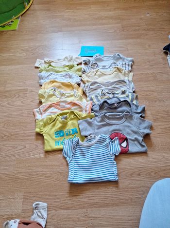 Lot 15 bodies