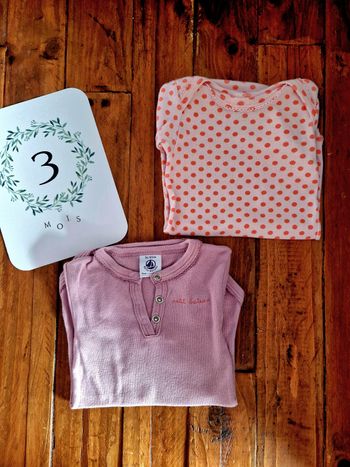 Lot 2 bodies manches courtes Petit Bateau