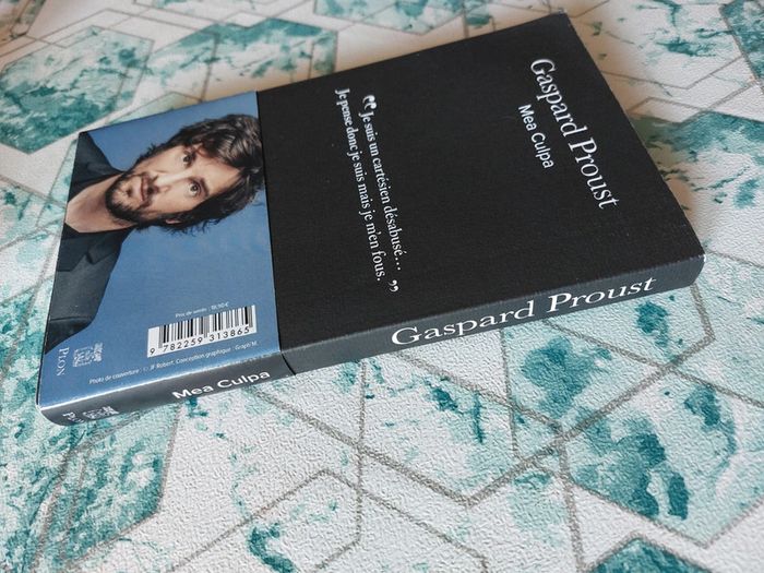 Gaspard Proust - Mea Culpa - photo numéro 7