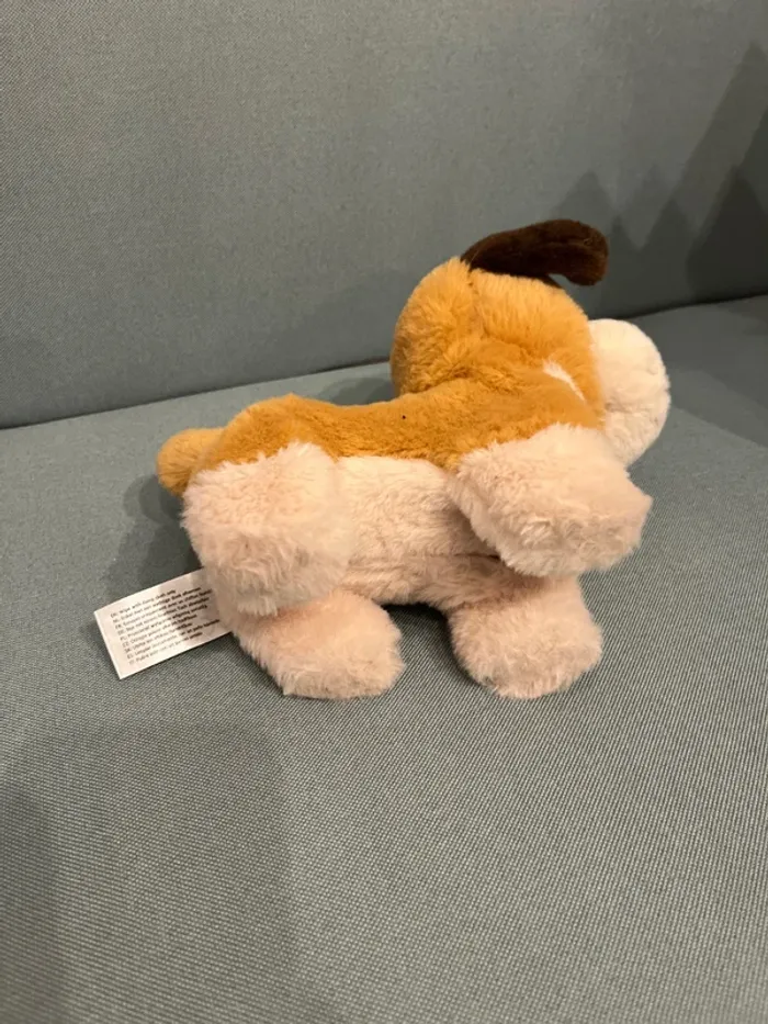 Chien - photo numéro 3