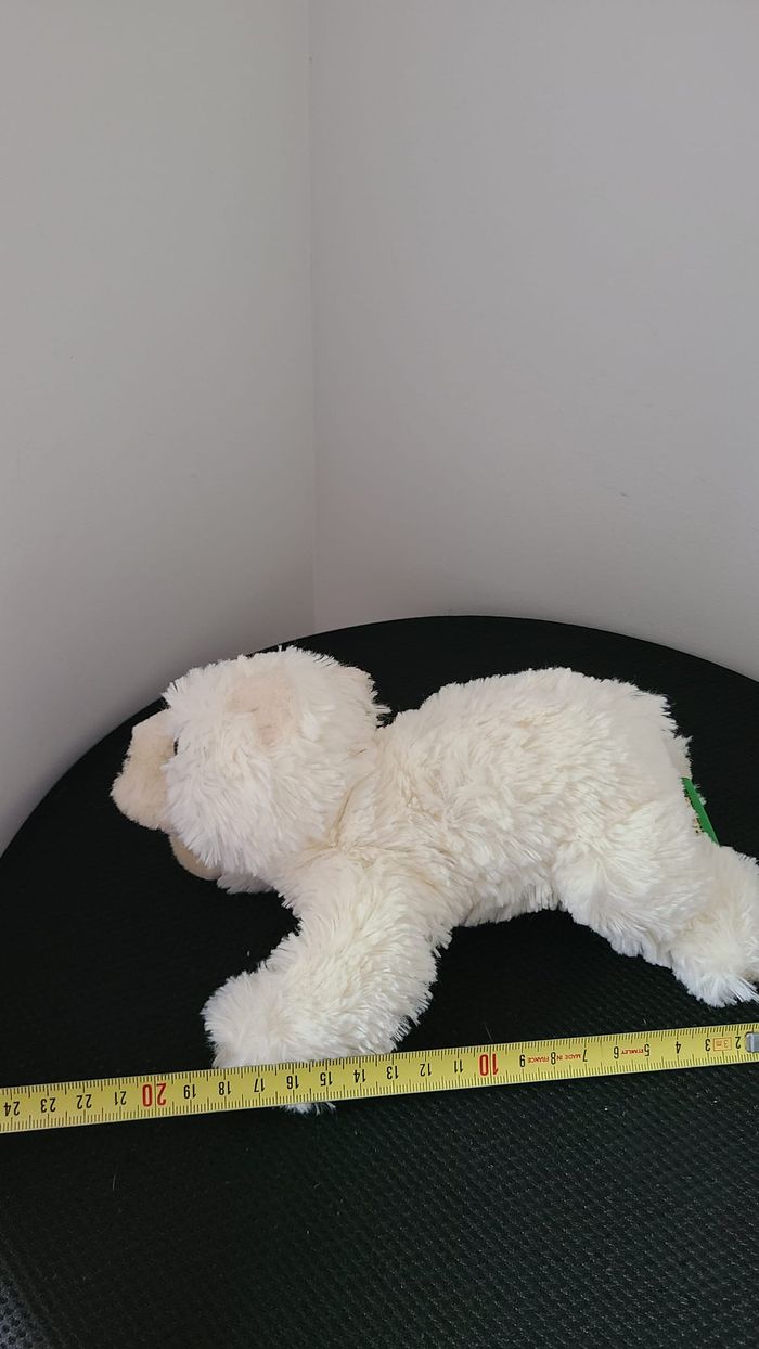 doudou ours - photo numéro 3