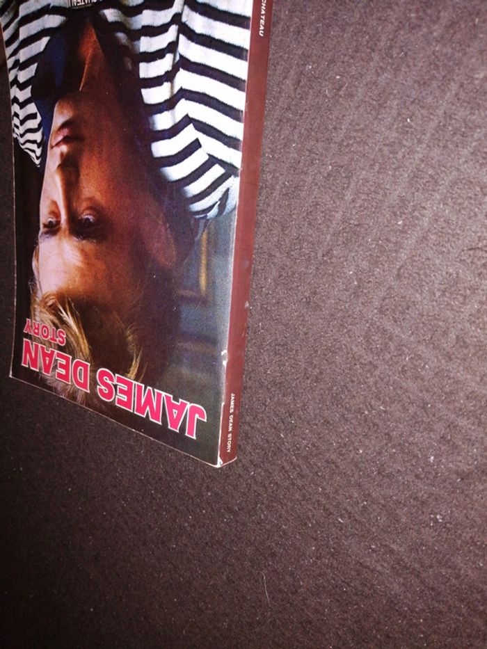 Livre James Dean story - photo numéro 4