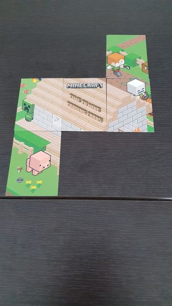 5 cartes Minecraft House