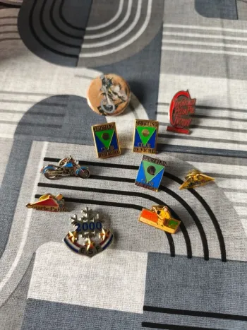 Lot pin's