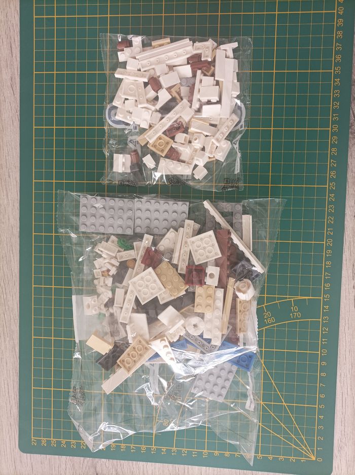 Sachet numéro 9 n°9 complet pour le set Lego Icons 10294 Le Titanic - photo numéro 2
