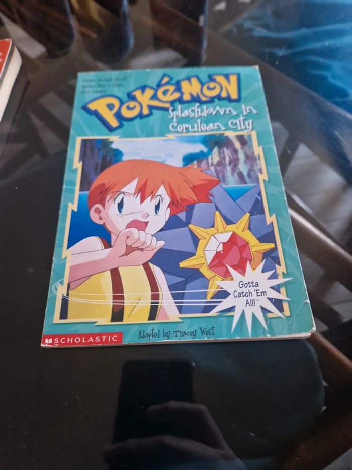 Livres pokemon vintage - photo numéro 13