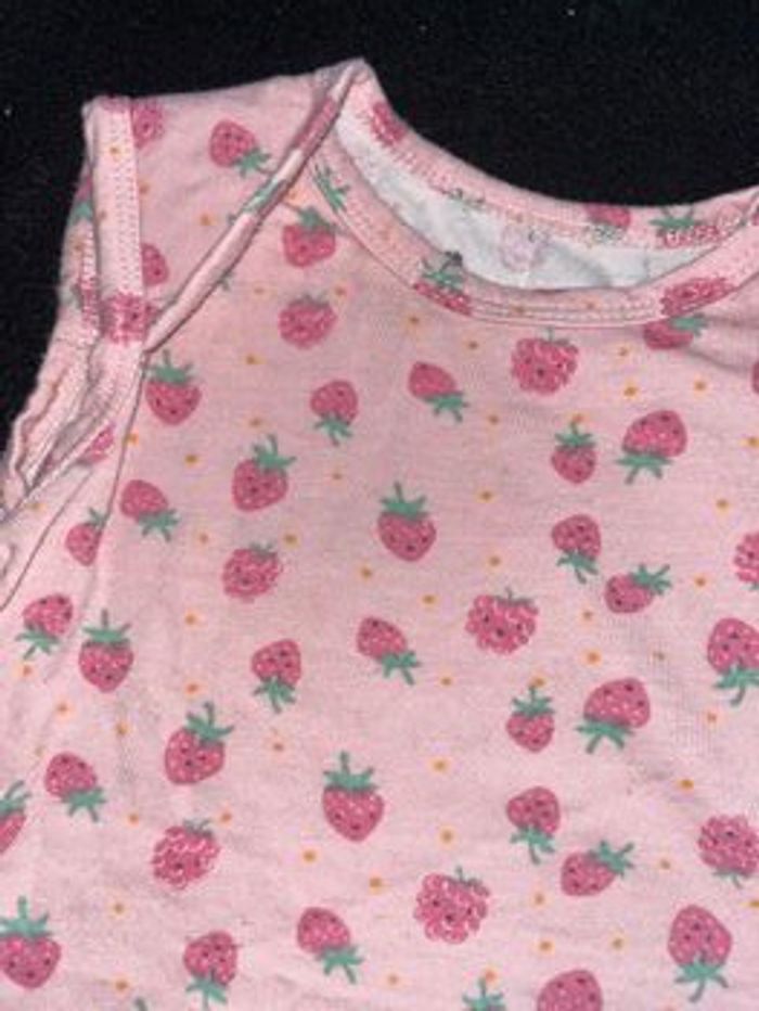 Bodie 12 mois - photo numéro 3