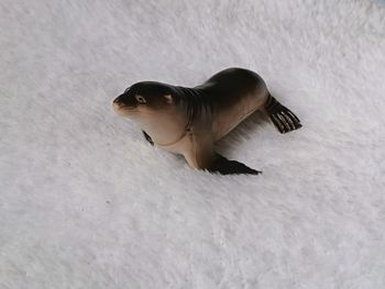 Figurine Otarie / Lion de Mer - 10 cm