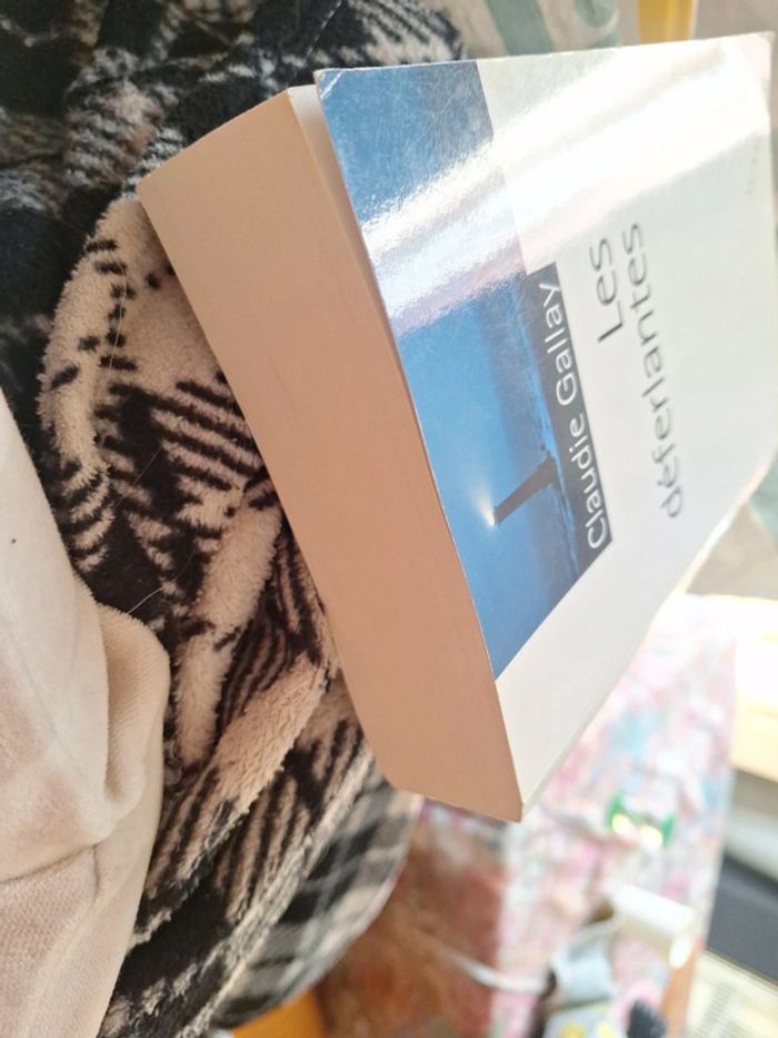 Livre la brune - photo numéro 6