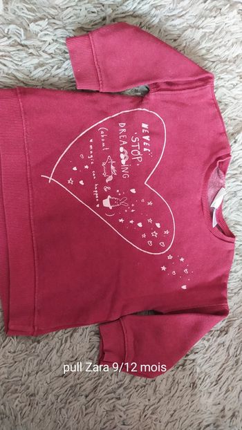 Pull Zara 9/12 mois