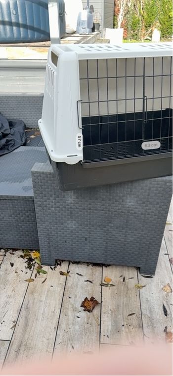 Caisse de transport pour animal