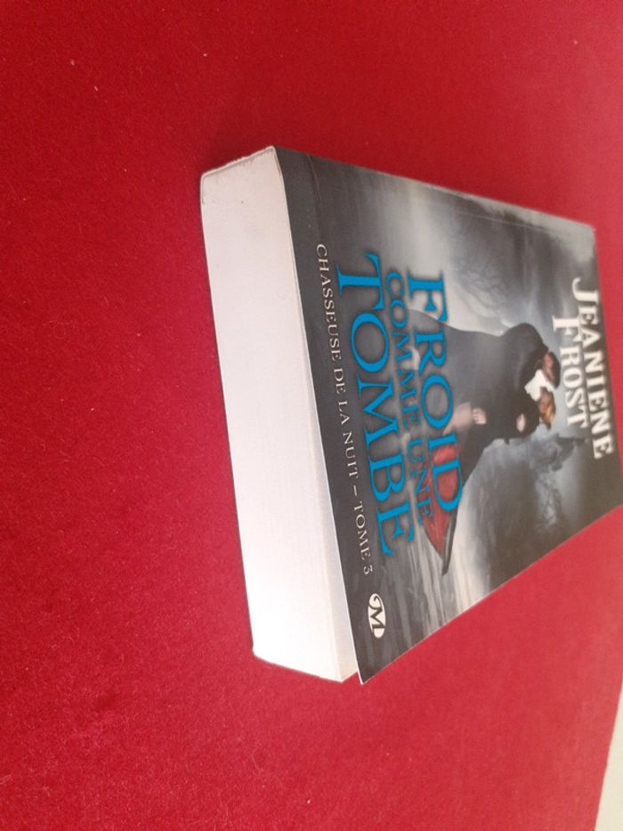 Froid comme une tombe tome 3 Chasseuse de la nuit - photo numéro 3