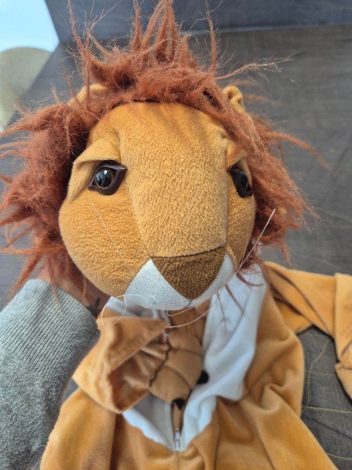 Costume déguisement lion 2 4 ans - photo numéro 2