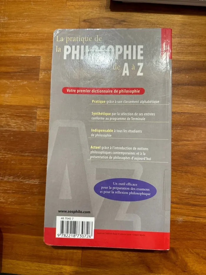 Livre la pratique de la philosophie - photo numéro 3