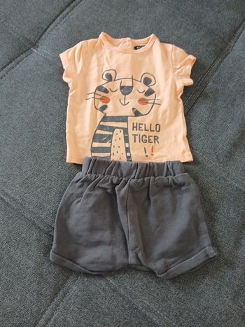 ensemble petit tigre