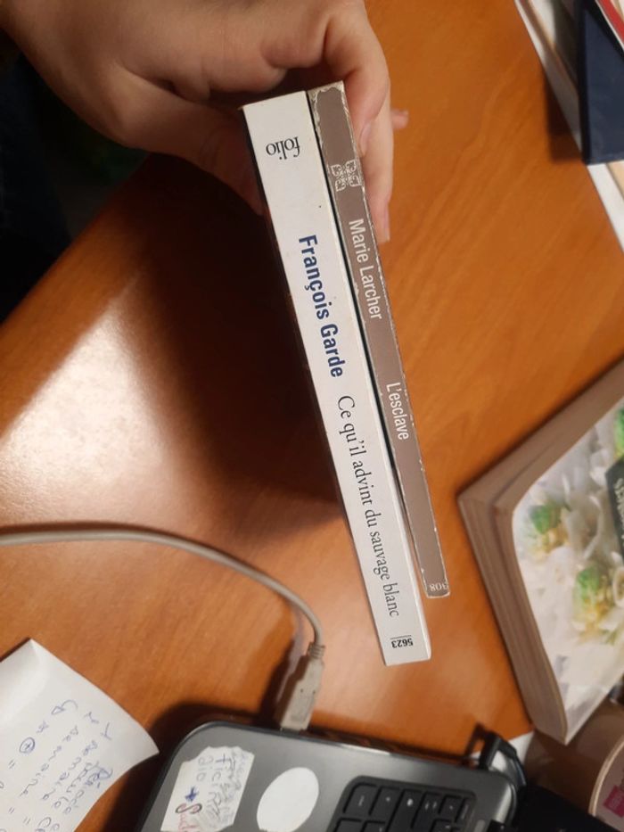 L'esclave Marie l'archer et sauvage blanc - photo numéro 4