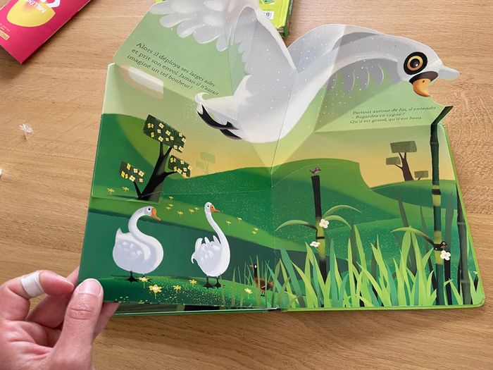 Le vilain petit canard - photo numéro 8