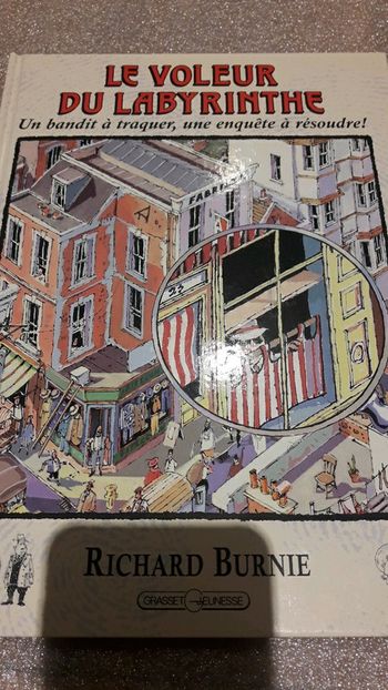 Le voleur du labyrinthe