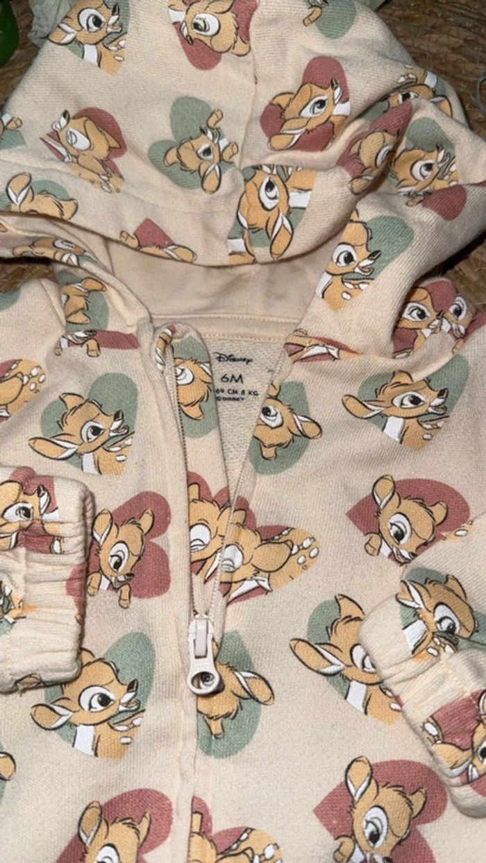 Veste - photo numéro 4