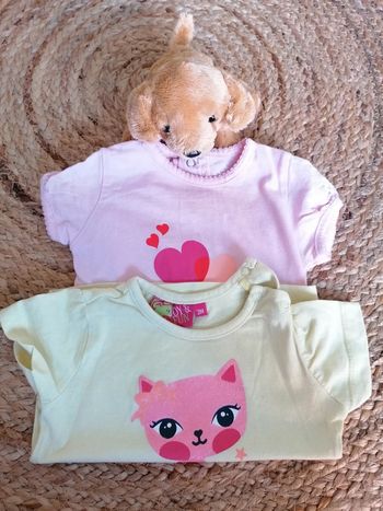 Lot de 2 t shirt manches courtes